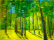 Lichtdurchfluteter Wald