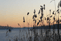Sonnenuntergang Sakrower See
