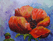 Mohnblume