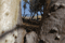 Playa_Genoveses